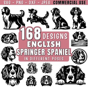 English Springer Spaniel dog SVG Bundle | Peeking dog Silhouette Spaniel Clipart | Dog PNG DXF jpeg for Cricut and Laser | Commercial Use