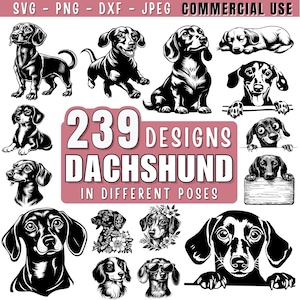 Może przedstawiać: Kolekcja 239 czarno-białych ilustracji psów rasy dachshund w różnych pozach. Ilustracje przedstawiają różne pozy, w tym siedzenie, stanie, leżenie i patrzenie w górę. Tekst "239 Designs Dachshund in Different Poses" jest wyświetlany w różowym prostokącie.
