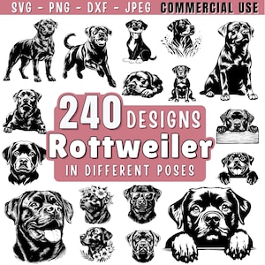 Rottweiler Dog SVG Bundle File, Dog pet lover, Dog Clipart for Cricut or Laser, Dog Graphics, png, jpeg SVG DXF Vector | Commercial use