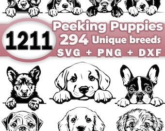 Gluren puppy hondje SVG-bundelbestand, complete hondenrassen, puppy clipart voor Cricut Laser, hoge kwaliteit png, SVG, DXF vector commercieel gebruik