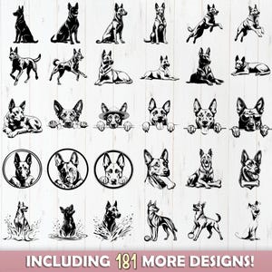 Belgian Malinois Dog SVG Bundle File, Dog pet lover, Dog Clipart for Cricut | Laser, Dog Graphics, png, jpeg SVG DXF Vector | Commercial use image 2