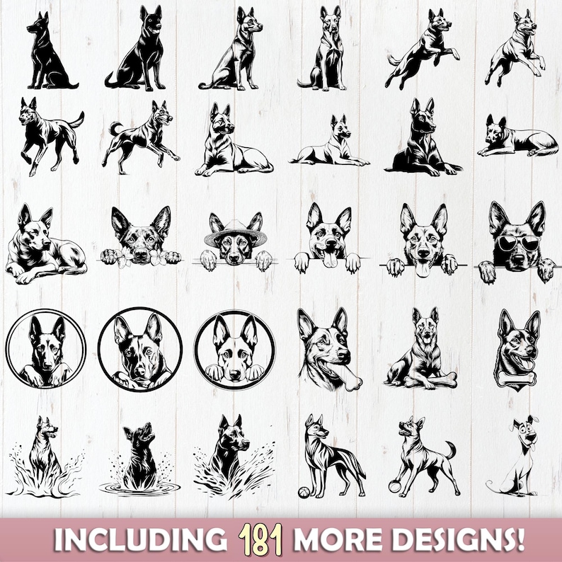 Belgian Malinois Dog SVG Bundle File, Dog pet lover, Dog Clipart for Cricut | Laser, Dog Graphics, png, jpeg SVG DXF Vector | Commercial use image 2
