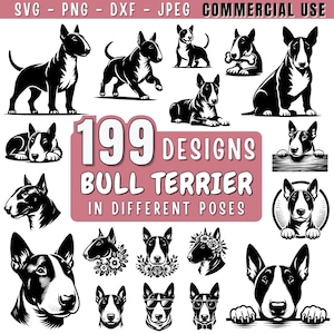 Op de afbeelding: Een verzameling van 199 Bull Terrier ontwerpen in zwart en wit in verschillende poses. De afbeelding bevat illustraties van het hondenras in verschillende houdingen en stijlen, met de tekst "SVG - PNG - DXF - JPEG COMMERCIAL USE".
