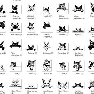 May include: A chart of different cat breeds with their names and descriptions. The chart is black and white and features a variety of cat breeds, including the Siamese, Abyssinian, and Ragdoll.