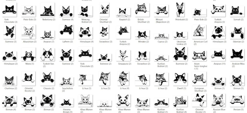 May include: A chart of different cat breeds with their names and descriptions. The chart is black and white and features a variety of cat breeds, including the Siamese, Abyssinian, and Ragdoll.