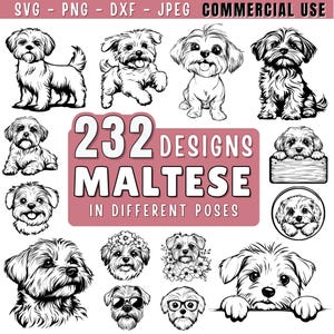 Maltese dog SVG Bundle | Peeking & Silhouette Maltese dog Clipart | Maltese Dog PNG DXF jpeg for Cricut and Laser | Commercial Use