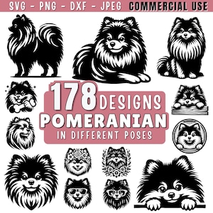 Pomeranian SVG Bundle | Cute & Peeking Pomeranian Clipart | Pet dog svg | Dog Silhouettes PNG DXF jpeg for Cricut and Laser | Commercial Use
