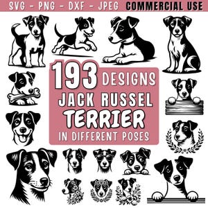 Puede incluir: Una colección de 193 diseños de Jack Russell Terrier en varias poses. Las ilustraciones en blanco y negro incluyen perros de pie, corriendo, acostados y usando accesorios. La imagen incluye el texto "SVG - PNG - DXF - JPEG COMMERCIAL USE."