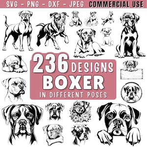 Puede incluir: Una colección de 236 ilustraciones en blanco y negro de perros boxer en diferentes poses. El texto "236 Designs Boxer in Different Poses" se muestra sobre un fondo rosa. El texto "SVG - PNG - DXF - JPEG COMMERCIAL USE" se muestra en la parte superior de la imagen.