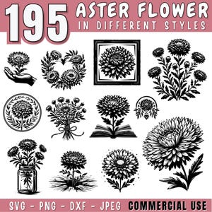 Può includere: Un set di 195 illustrazioni vettoriali in bianco e nero di fiori di aster in diversi stili. Le illustrazioni includono un fiore in una mano, una ghirlanda, un bouquet, un fiore in un barattolo, un fiore che cresce dal terreno, un fiore in una cornice, un fiore su un libro e un fiore con foglie.