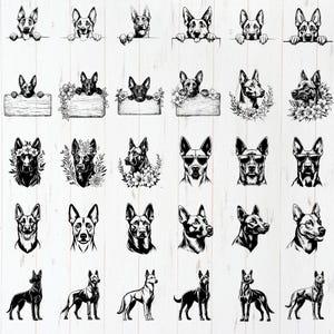 Belgian Malinois Dog SVG Bundle File, Dog pet lover, Dog Clipart for Cricut | Laser, Dog Graphics, png, jpeg SVG DXF Vector | Commercial use image 3