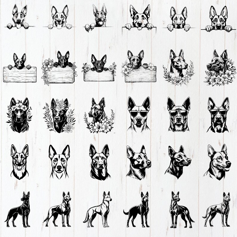 Belgian Malinois Dog SVG Bundle File, Dog pet lover, Dog Clipart for Cricut | Laser, Dog Graphics, png, jpeg SVG DXF Vector | Commercial use image 3