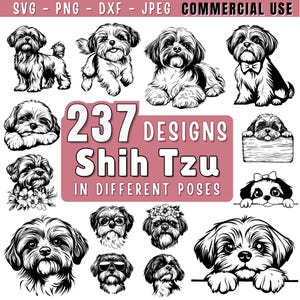 Shih Tzu Dog SVG Bundle File, Dog pet lover, Dog Clipart for Cricut or Laser, Dog Graphics, png, jpeg SVG DXF Vector | Commercial use