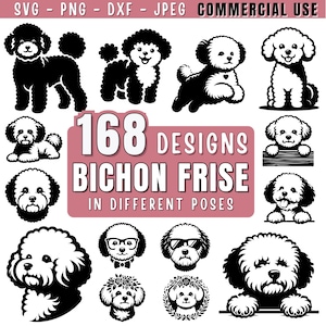Bichon Frise dog SVG Bundle | Peeking and Fluffy Bichon Clipart | Pet dog Silhouettes PNG DXF jpeg for Cricut and Laser | Commercial Use