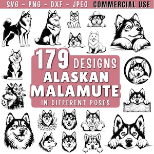 May include: A selection of 179 Alaskan Malamute designs in diverse poses, offered in SVG, PNG, DXF, and JPEG formats for commercial use. The designs showcase black and white illustrations of the dog breed.
