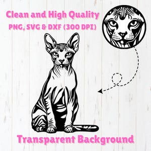 May include: Black and white line art illustration of a Sphynx cat sitting with its tail curled around its legs. The cat has a large head with prominent ears and a wrinkled face. The image has a transparent background.