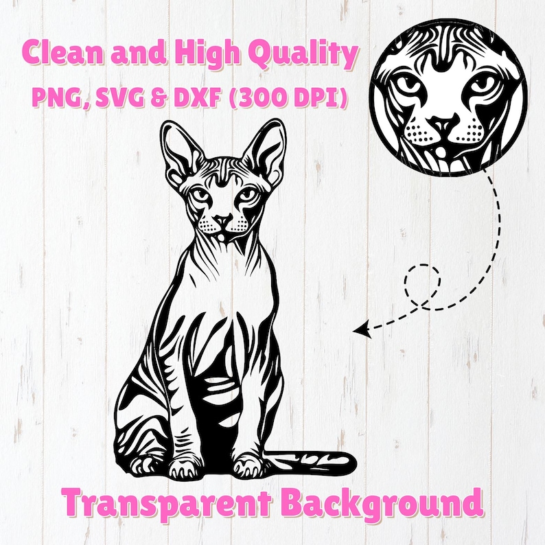 May include: Black and white line art illustration of a Sphynx cat sitting with its tail curled around its legs. The cat has a large head with prominent ears and a wrinkled face. The image has a transparent background.