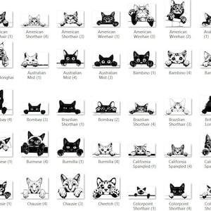 May include: A black and white illustration of different cat breeds, each with a unique facial expression. The cats are depicted peeking over a surface, with their names and breed information listed below each image.