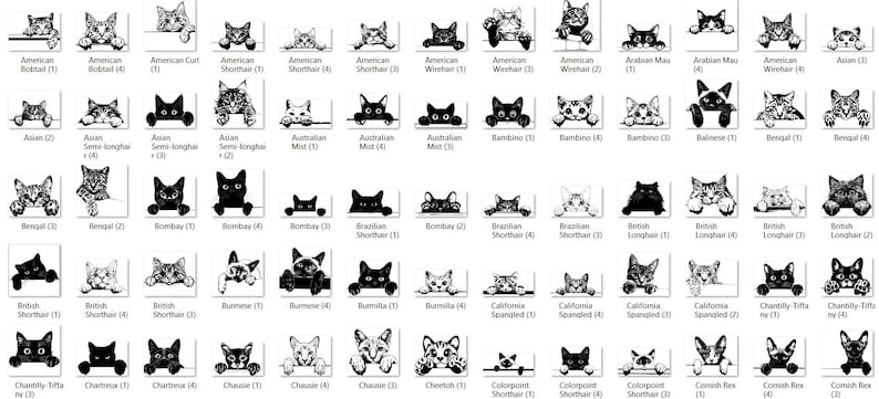 May include: A black and white illustration of different cat breeds, each with a unique facial expression. The cats are depicted peeking over a surface, with their names and breed information listed below each image.