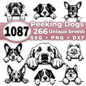 Peeking Dogs SVG Bundle File, All Complete Breeds Collection, Dog Clipart for Cricut/Laser, High quality png, SVG, DXF vector Commercial Use