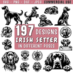 Pode incluir: Ilustrações em preto e branco de cães Setter irlandeses em várias poses. A imagem inclui o texto "197 Designs Irish Setter in Different Poses" e "Commercial Use". Formatos SVG, PNG, DXF e JPEG disponíveis.