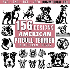 Op de afbeelding: Een verzameling van 156 American Pitbull Terrier ontwerpen in zwart en wit. De afbeelding bevat illustraties van de hond in verschillende poses, met de tekst "SVG - PNG - DXF - JPEG COMMERCIAL USE".