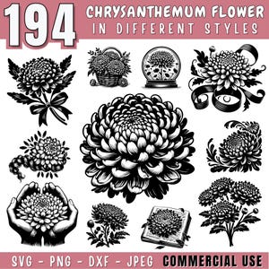 Chrysanthemum flower SVG bundle, November Birth Month Flower svg, Chrysanthemum Flower clipart for cricut & Laser, Commercial use