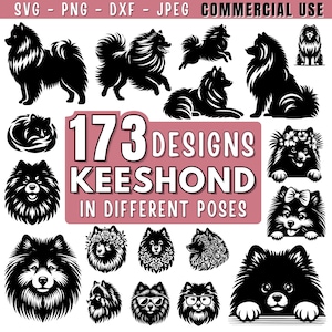 Può includere: Una collezione di 173 disegni di Keeshond in bianco e nero, in varie pose. L'immagine include illustrazioni della razza canina in diverse posizioni, alcune con accessori. Il testo in alto indica l'uso commerciale.