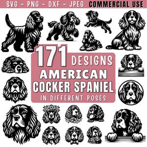 May include: A selection of 171 American Cocker Spaniel designs in different poses, presented in black and white. The designs are available in SVG, PNG, DXF, and JPEG formats, and are suitable for commercial use.