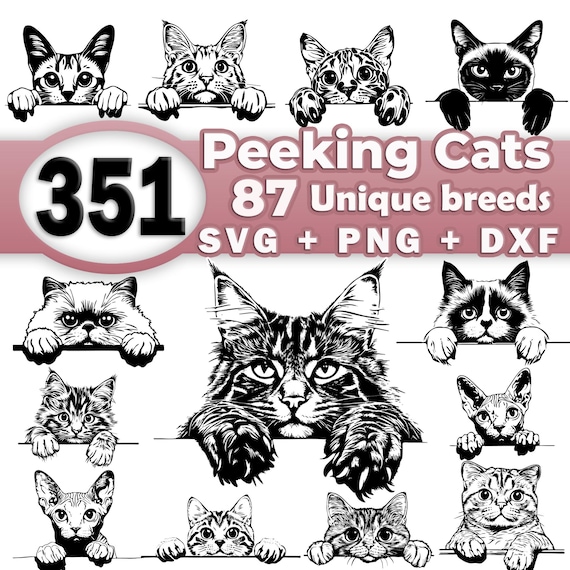 Peeking Cat SVG Bundle pack - All Cat breed Silhouettes & Cut Files High Quality for Cricut | Laser cut svg, png, dxf Vector Commercial use