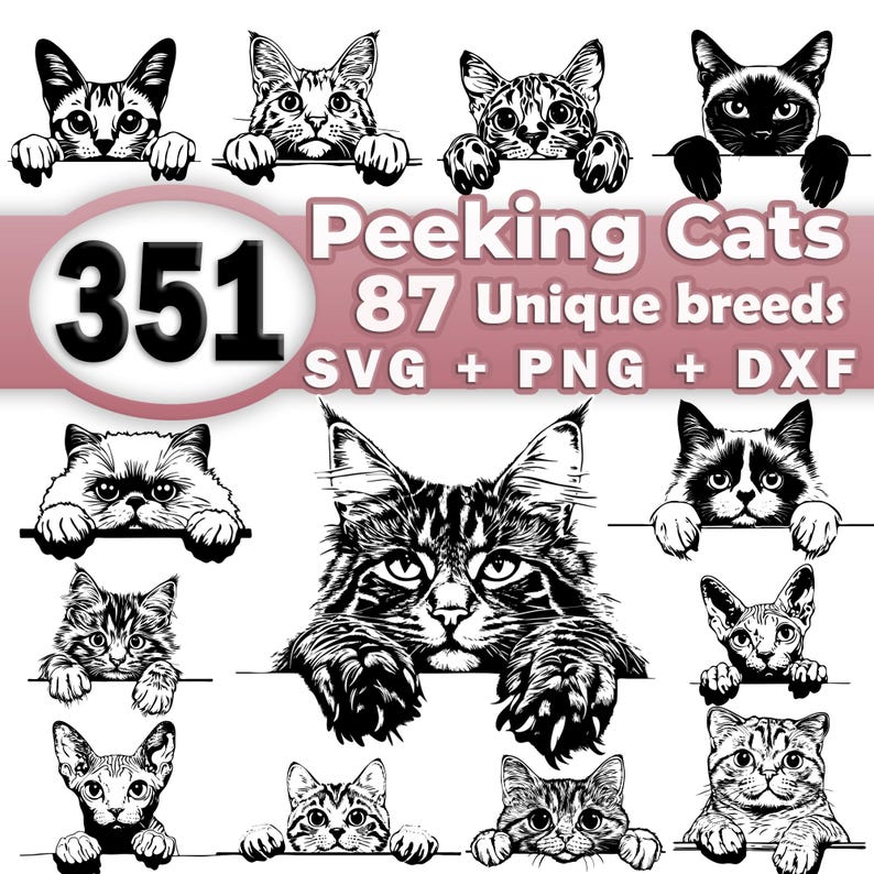 May include: A collection of 351 black and white illustrations of cats peeking over a surface. The text "Peeking Cats 87 Unique Breeds SVG + PNG + DXF" is displayed on a pink background.