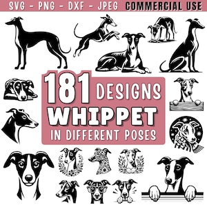 Puede incluir: Una colección de 181 diseños de perros Whippet en varias poses. La imagen presenta ilustraciones en blanco y negro de Whippets, incluyendo posiciones de pie, corriendo y descansando. El texto en la imagen dice "181 Designs Whippet in Different Poses."
