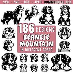 May include: A collection of 186 Bernese Mountain Dog designs in various poses, rendered in black and white. The image includes illustrations of the dogs in different stances, with text that reads "186 Designs Bernese Mountain in Different Poses."