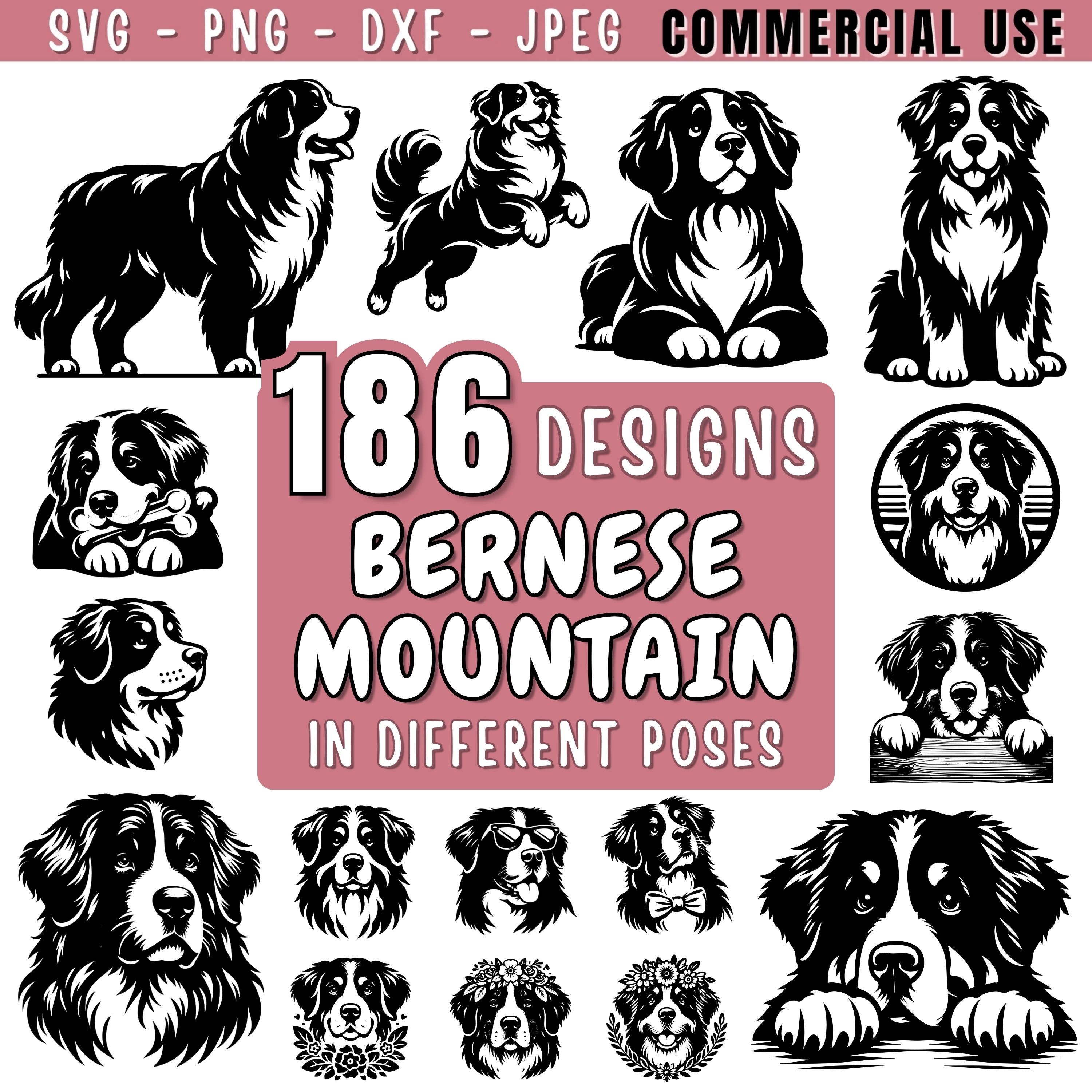 Coppie Del Cane Di Montagna Di Bernese Fotografia Stock - Immagine di