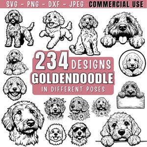 Goldendoodle Dog SVG Bundle File, Dog pet lover, Dog Clipart for Cricut | Laser, High Quality Silhouette Graphics, png, jpeg SVG DXF Vector