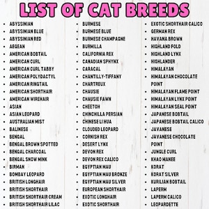 May include: A list of cat breeds, including Abyssinian, Burmese, Exotic Shorthair Calico, German Rex, Havana Brown, Highland Fold, and many more.