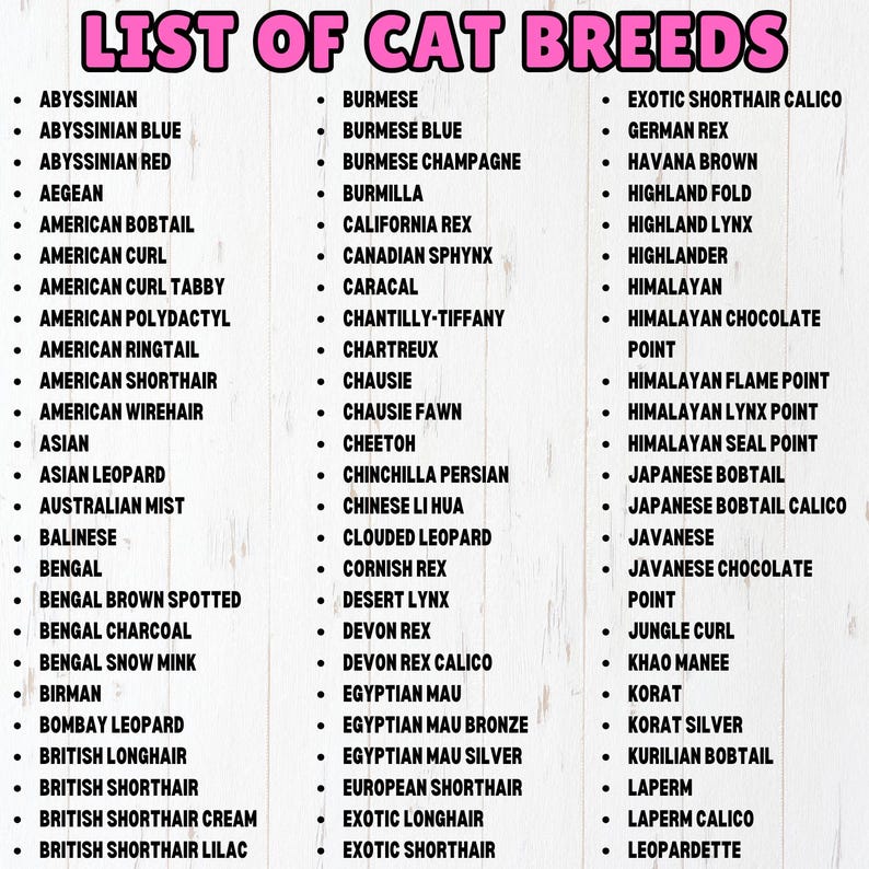 May include: A list of cat breeds, including Abyssinian, Burmese, Exotic Shorthair Calico, German Rex, Havana Brown, Highland Fold, and many more.