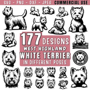 Puede incluir: Una colección de 177 diseños de West Highland White Terrier en varias poses. La imagen presenta múltiples ilustraciones en blanco y negro de la raza de perro, con el texto "177 DESIGNS WEST HIGHLAND WHITE TERRIER IN DIFFERENT POSES".