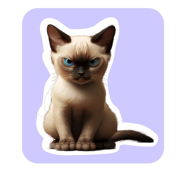 Grumpy Siamese Cat Kitten Full Color Vinyl Sticker Water Bottle Sticker  Window Sticker Laptop Sticker Bumper Sticker  Waterproof