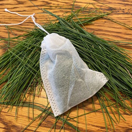 Organic White Pine Needle Tea Fresh Pine Needles for Tea Etsy