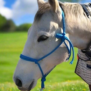 Rope Halter