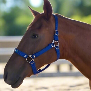 Personalised Halters