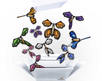 White Explosion Butterfly Box with FlutterFlyers