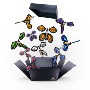 FlutterBox I DIY Butterfly Explosion Box Kit Black DIY FlutterBox +5 FlutterFlyers