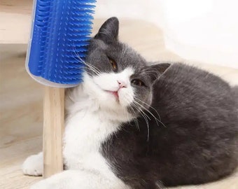 Chien, chat, auto-toilette, avec herbe à chat, brosse de massage, parfait outil de massage des rayures pour chaton/chiot à fourrure longue et courte