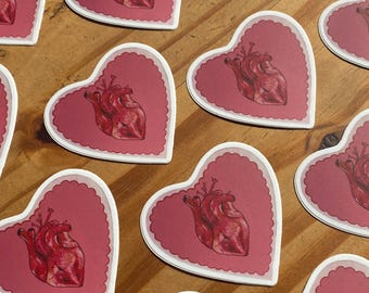 Anatomical pink heart sticker, creepy macabre cute sticker - 51mm X 49mm