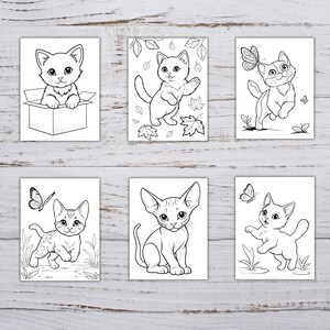 May include: Six black and white coloring pages featuring cute kittens in various poses. The kittens are depicted in a box, with falling leaves, chasing butterflies, and playing.