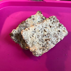 Mycelium Visitenkarten