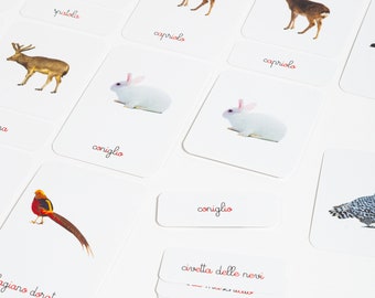 Montessori Printables: Animali d'Europa - Carte delle nomenclature Montessori da stampare  - Flashcards montessoriane