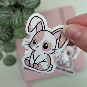 VEGAN BUNNY Sticker, Optional Text: Not your Test Object, Friends not Food, Veganism Sticker, Kawaii Chibi Rabbit Sticker, Cute Animals